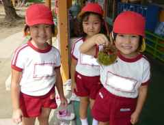 幼稚園に栗がなったよ！の画像