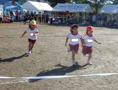 運動会　１の画像