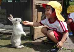 うさぎの餌やりの画像