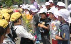 花の日５の画像