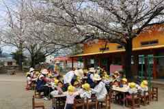 お花見給食したよの画像