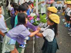 花の日2の画像